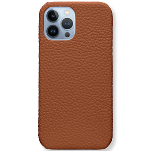 iPhone 13 Pro (7136415449243)